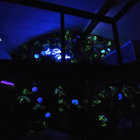 La Pandora - Escape Game I I Sauna Apartmán